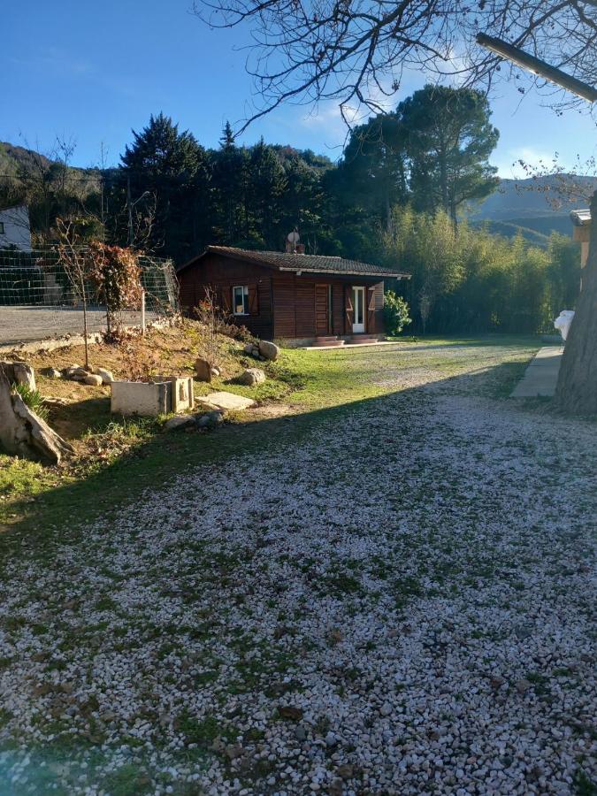 Petit Chalet En Bois Reynès Kültér fotó